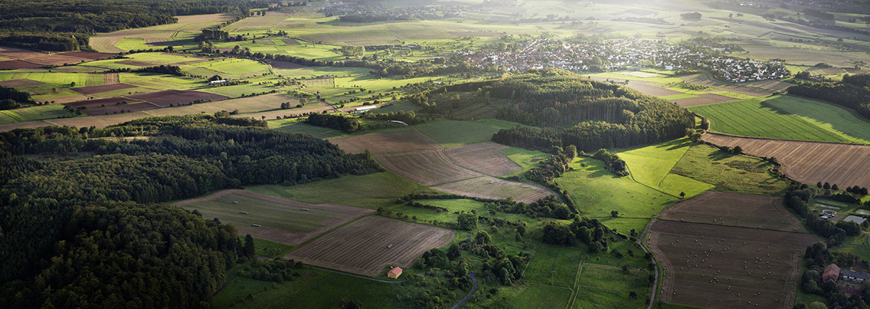 Nachhaltigkeit 1253x446px